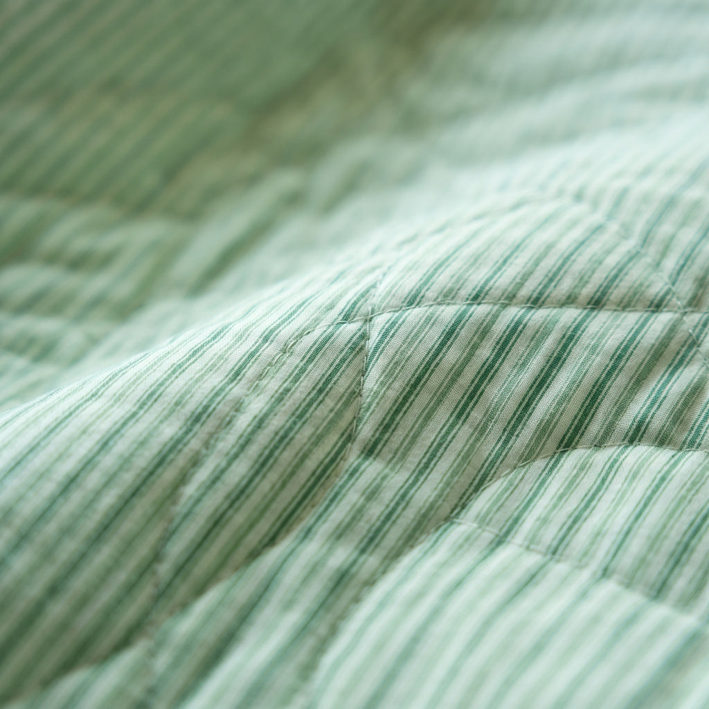 Zebra Wanderings reversible cotton baby blanket, side two, macro