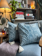 Indigo Earth Cushion Cover