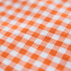 Forest Floor 100% Cotton Reversible Handmade Artisanal Baby Blanket